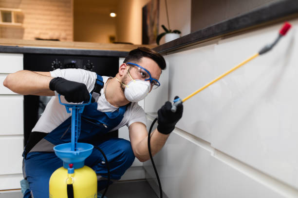 Best Cockroach Control Services  in Cascade, ID