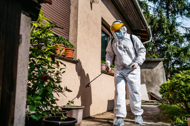Professional Pest Control in Cascade, ID