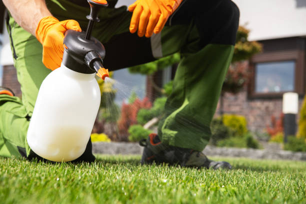 Best Local Pest Control Services  in Cascade, ID