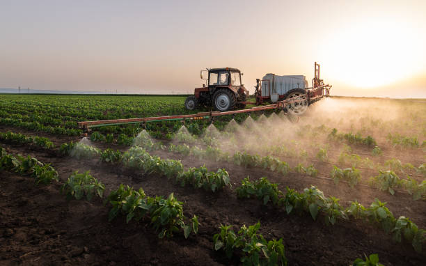 Best Commercial Pest Control Services  in Cascade, ID