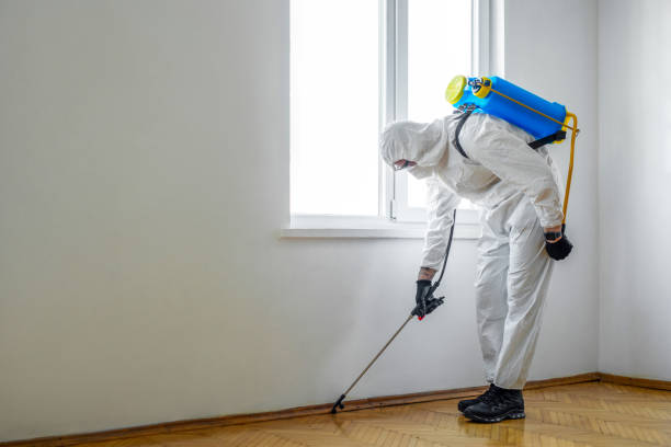 Best Rat Extermination Near Me  in Cascade, ID