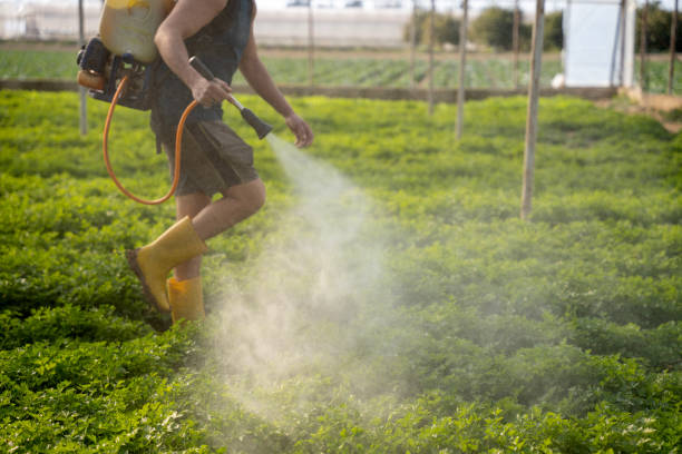 Best Pest Control Near Me  in Cascade, ID