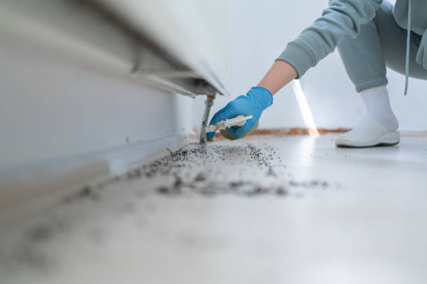 Pest Control Cost in Cascade, ID